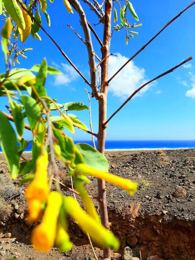 El Bounty De Playa Chica Βίλα Puerto del Rosario  Εξωτερικό φωτογραφία